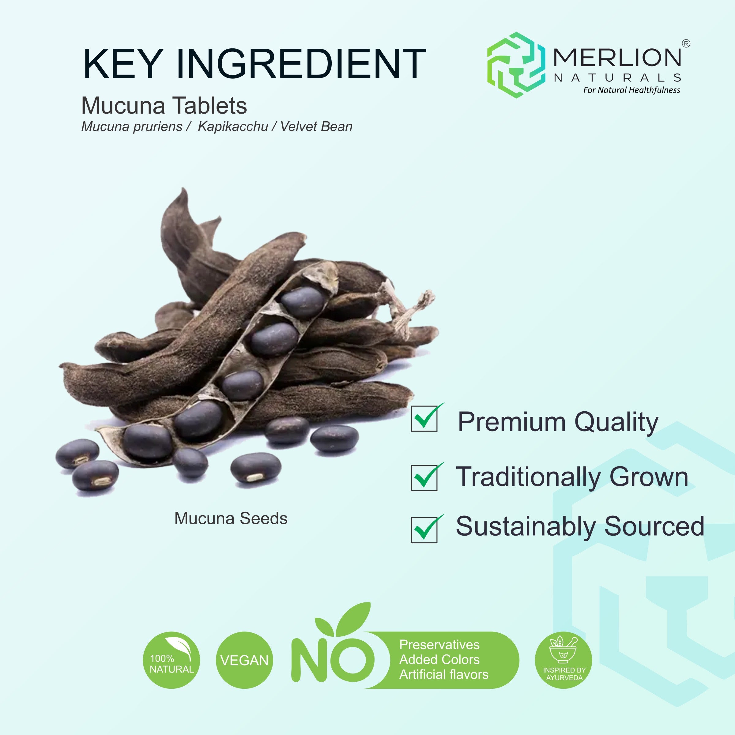 Mucuna Extract Tablets | Kapikachu / Mucuna pruriens | 500mg