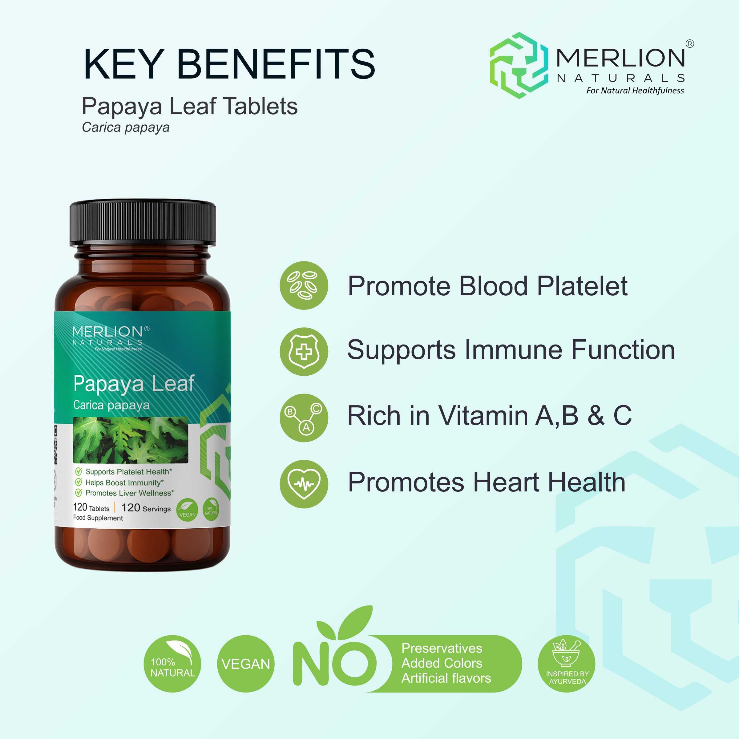 Papaya Leaf Extract Tablets | Carica papaya |  500mg