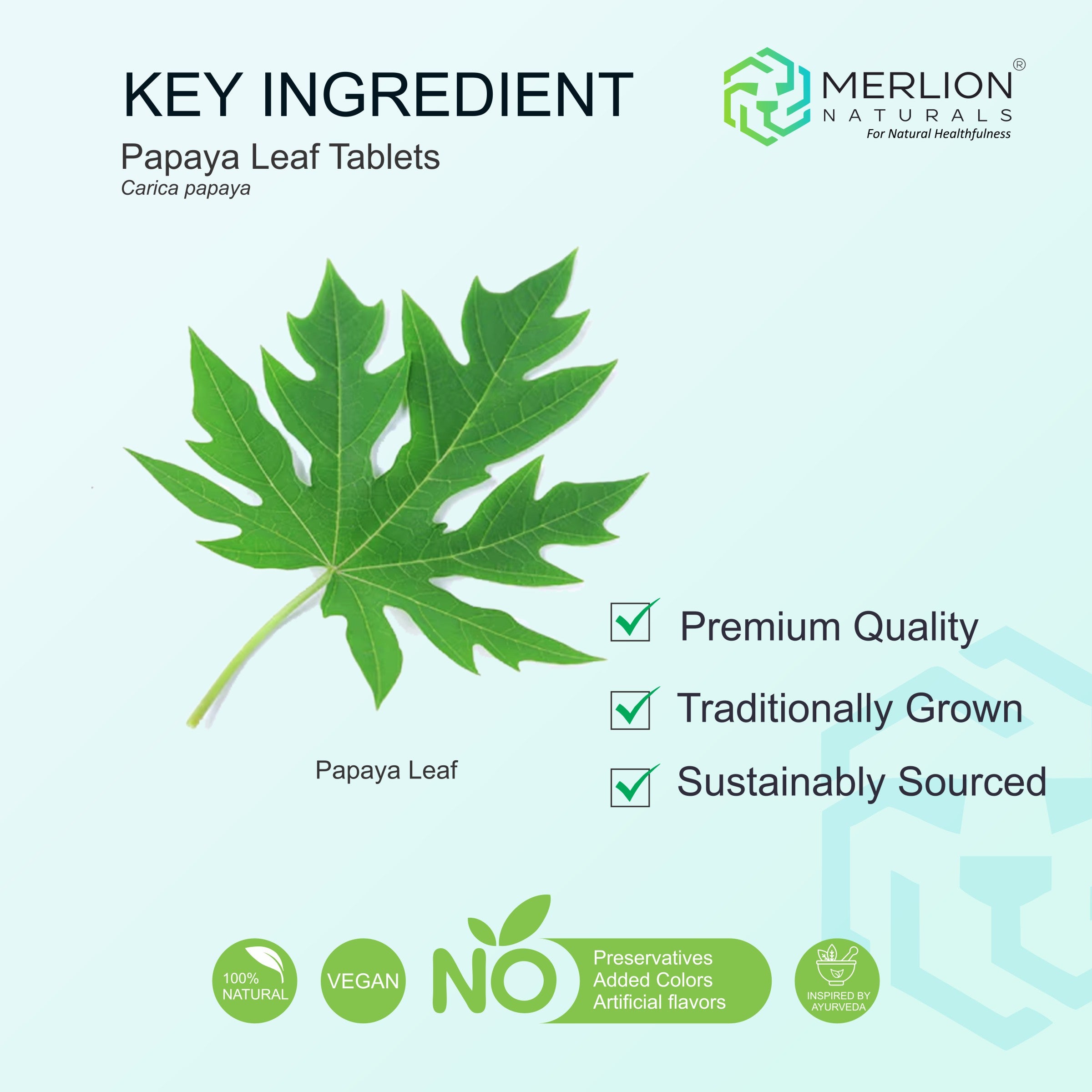 Papaya Leaf Extract Tablets | Carica papaya |  500mg