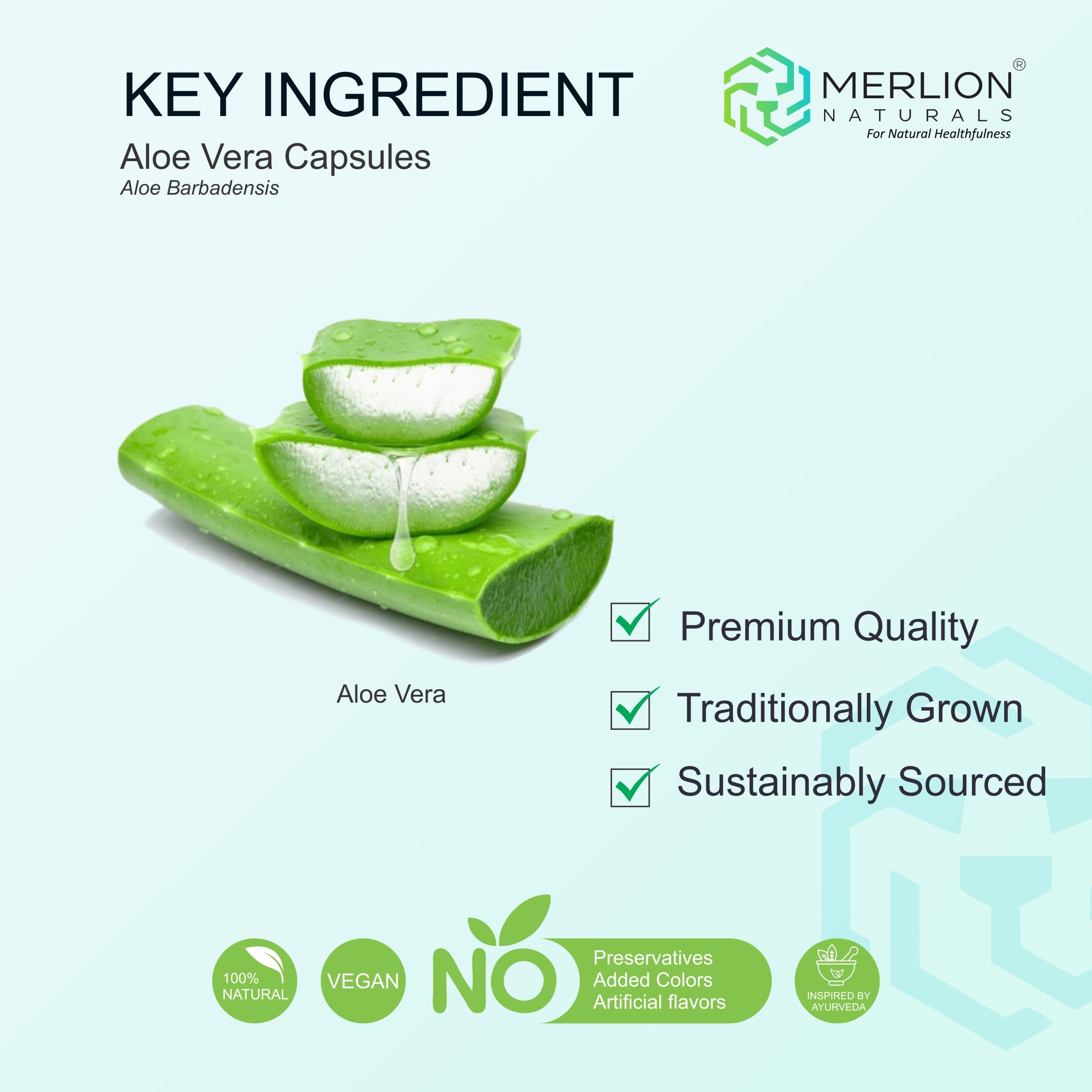 Aloe Vera Extract Capsules | Aloe barbadensis | 100mg