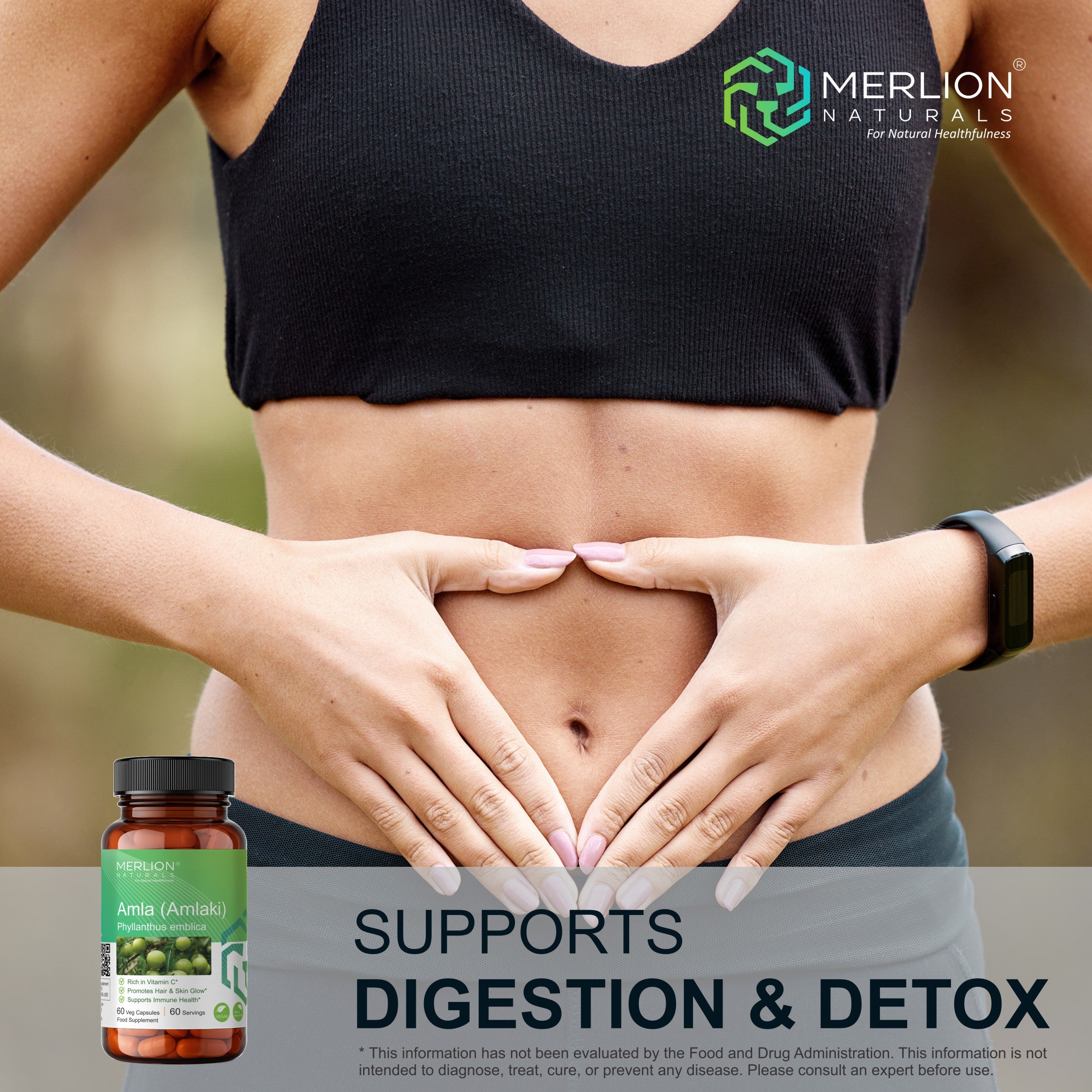 Amla Extract Capsules | Phyllanthus emblica / Indian gooseberry | 600mg