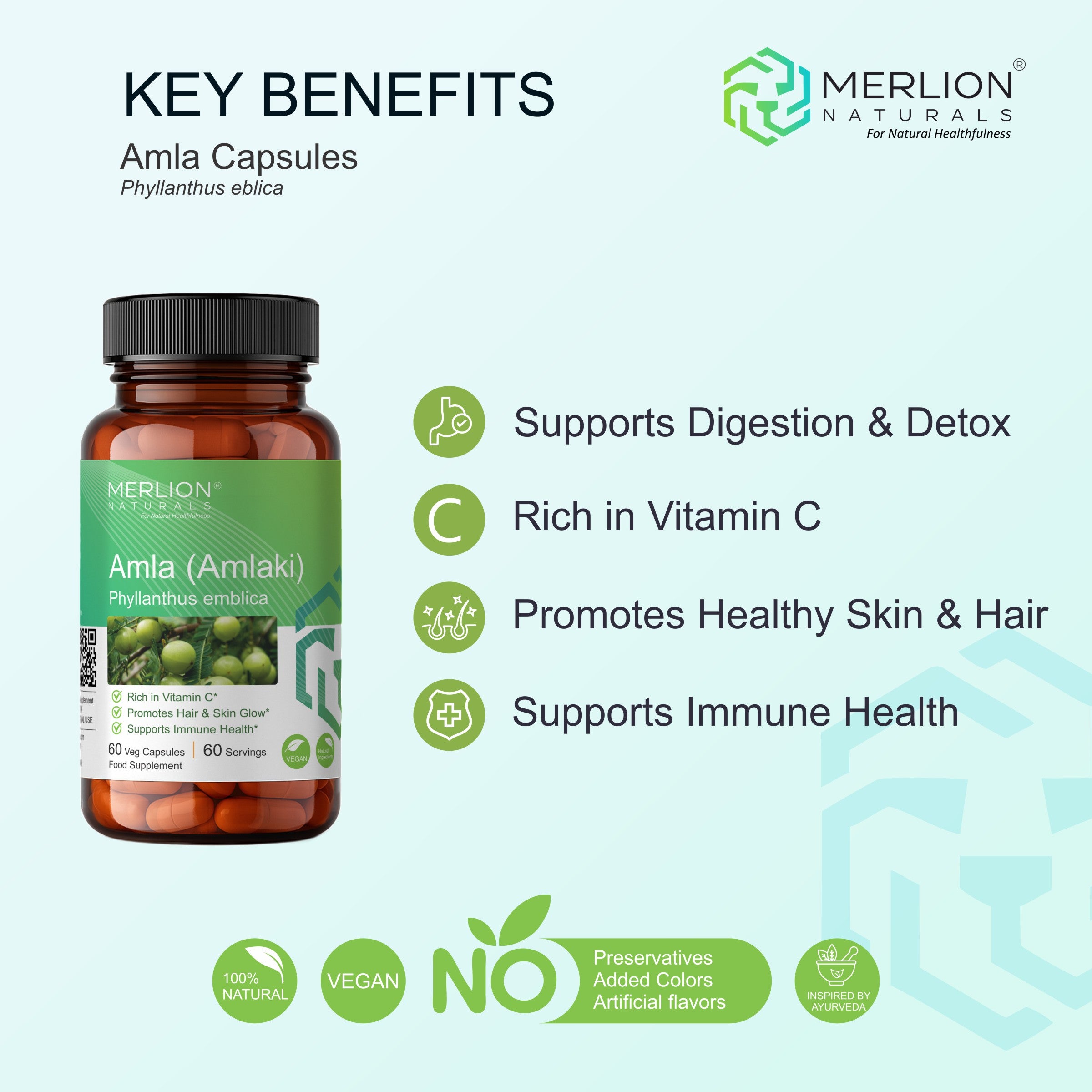 Amla Extract Capsules | Phyllanthus emblica / Indian gooseberry | 600mg