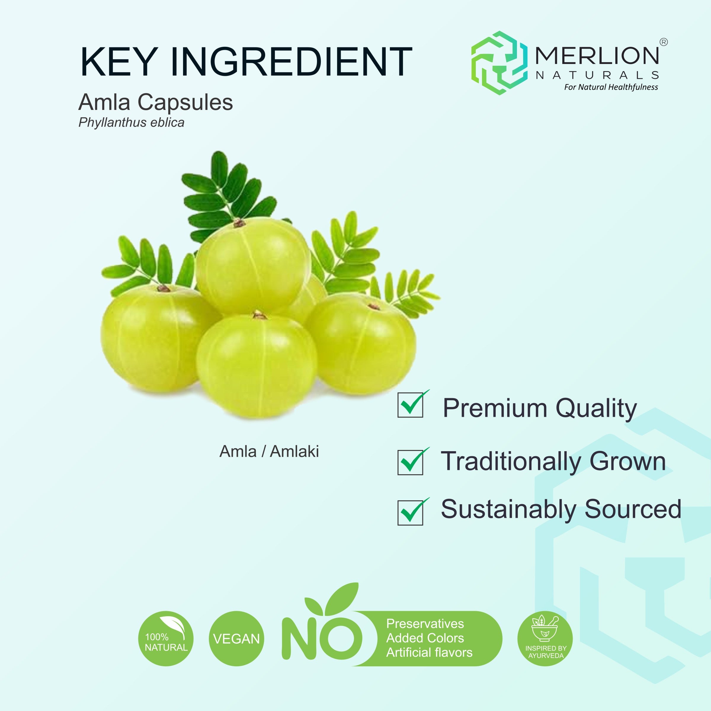 Amla Extract Capsules | Phyllanthus emblica / Indian gooseberry | 600mg