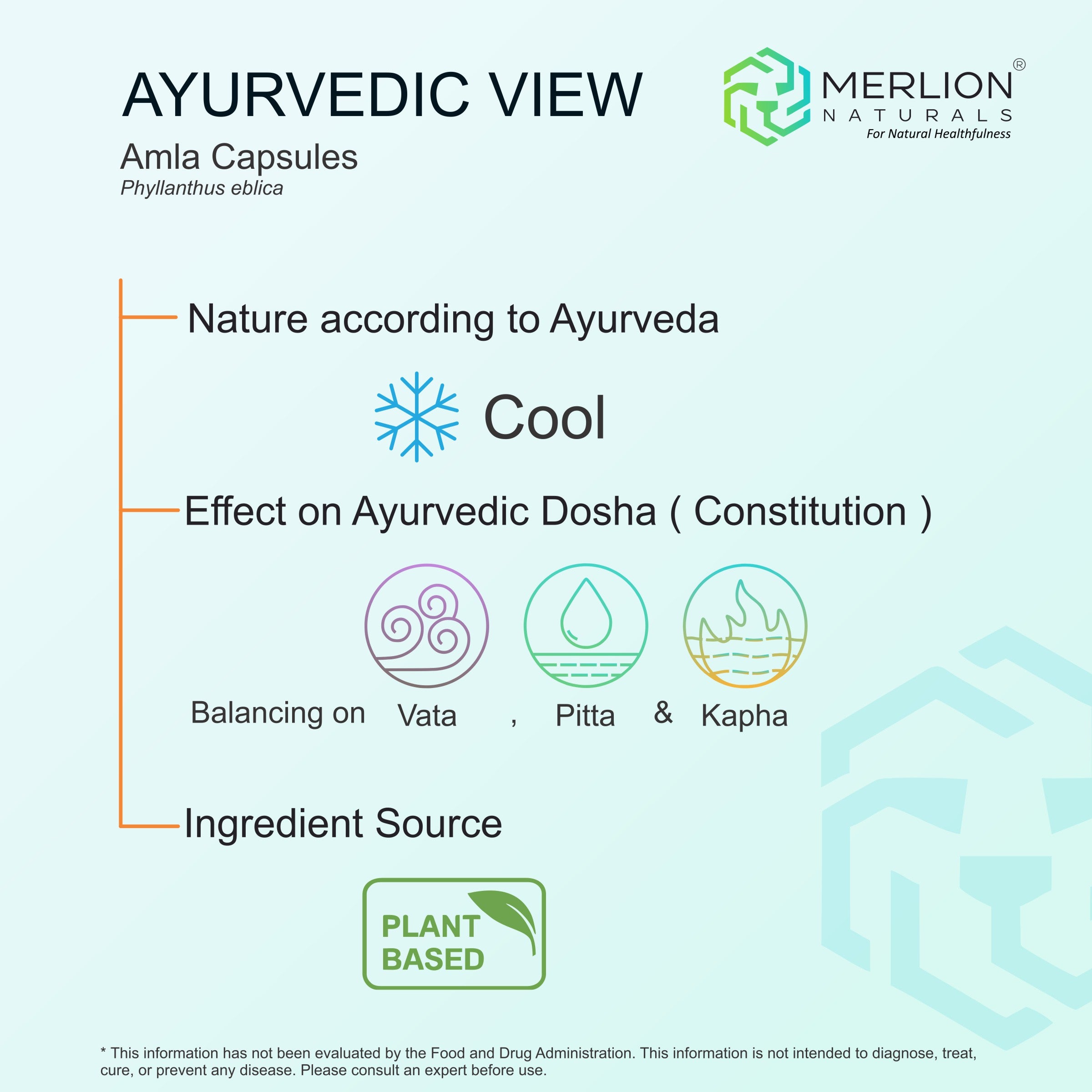 Amla Extract Capsules | Phyllanthus emblica / Indian gooseberry | 600mg