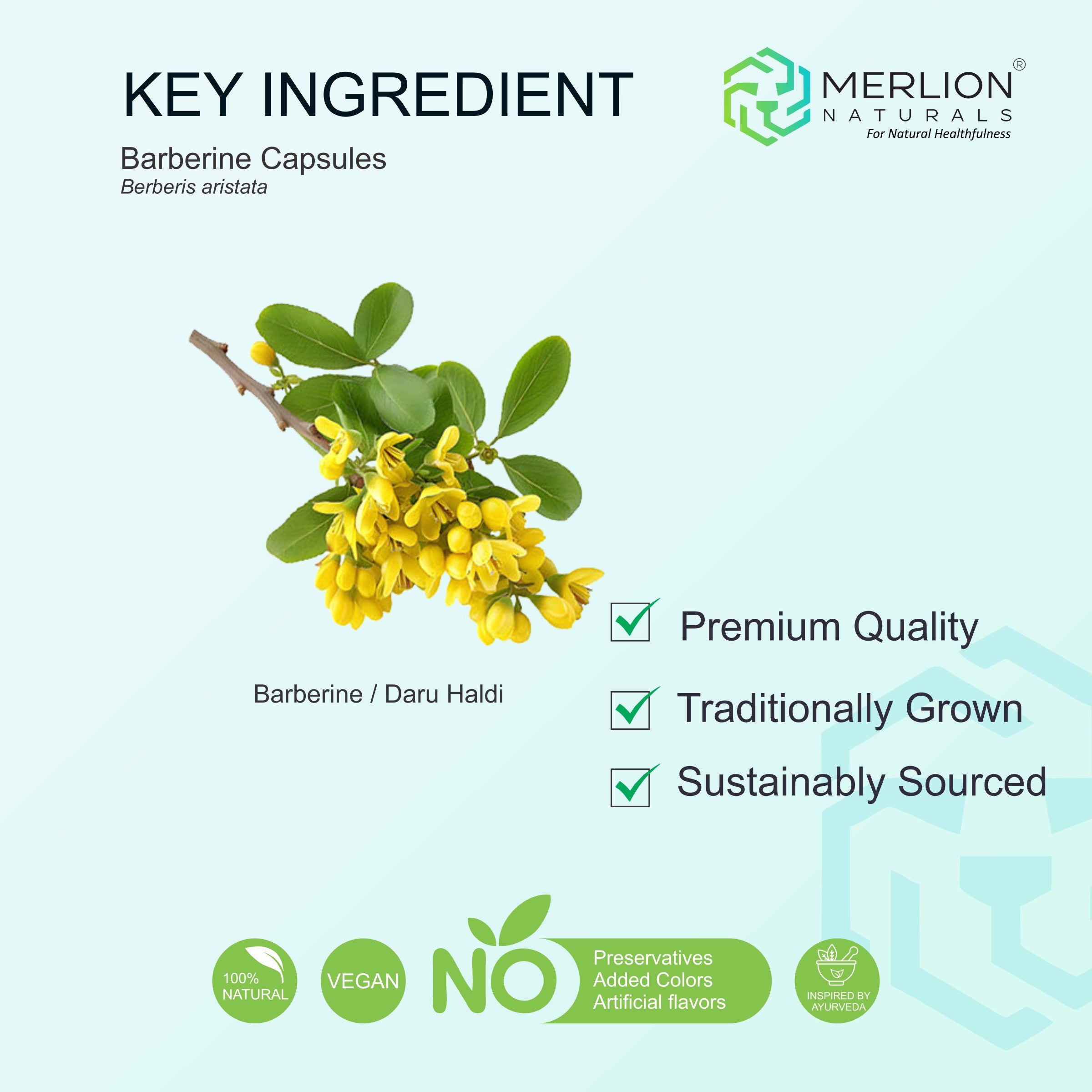 Barberine / Daru Haldi 1000mg Capsules (60 Capsules)