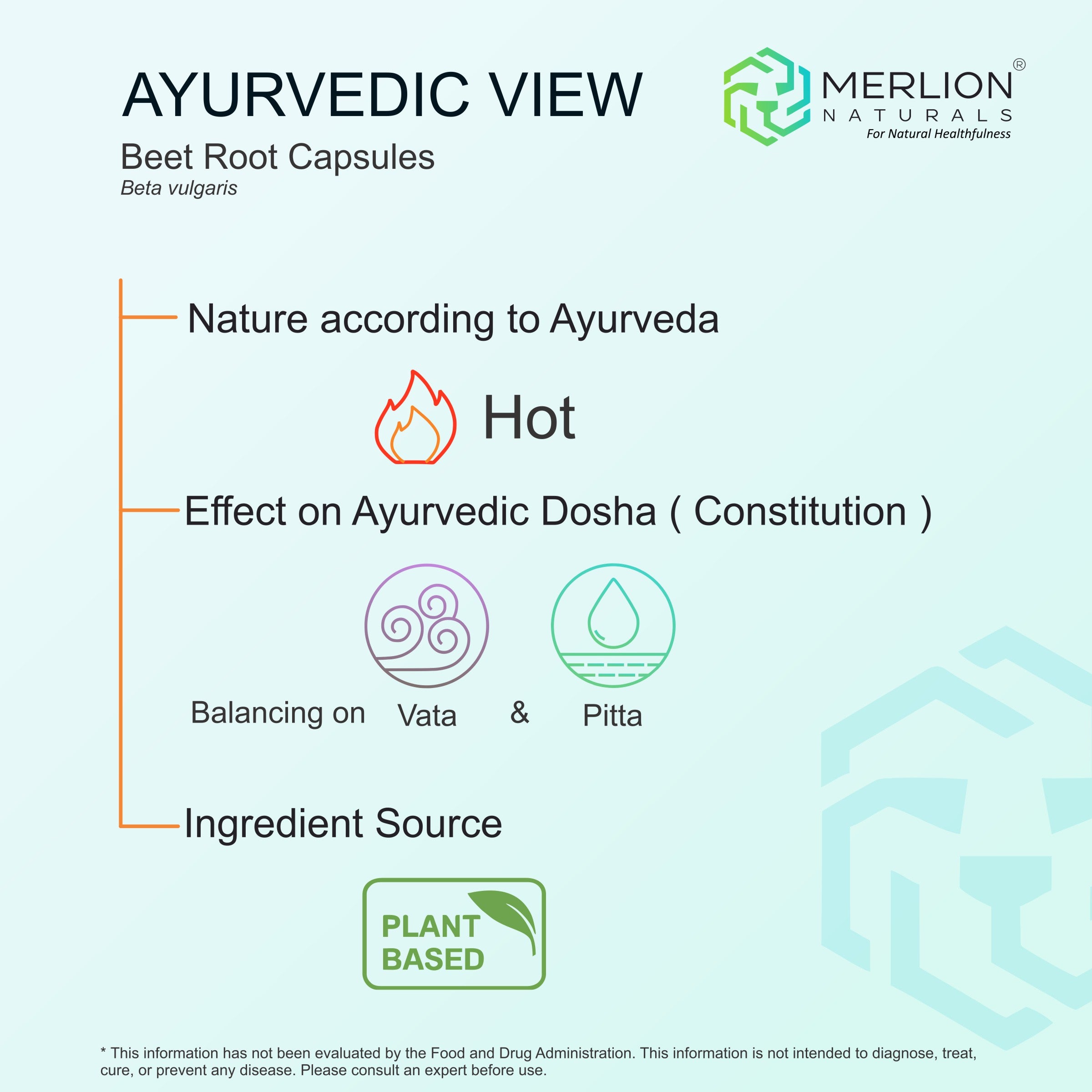 Beet Root Extract Capsules | Beta vulgaris | 650mg