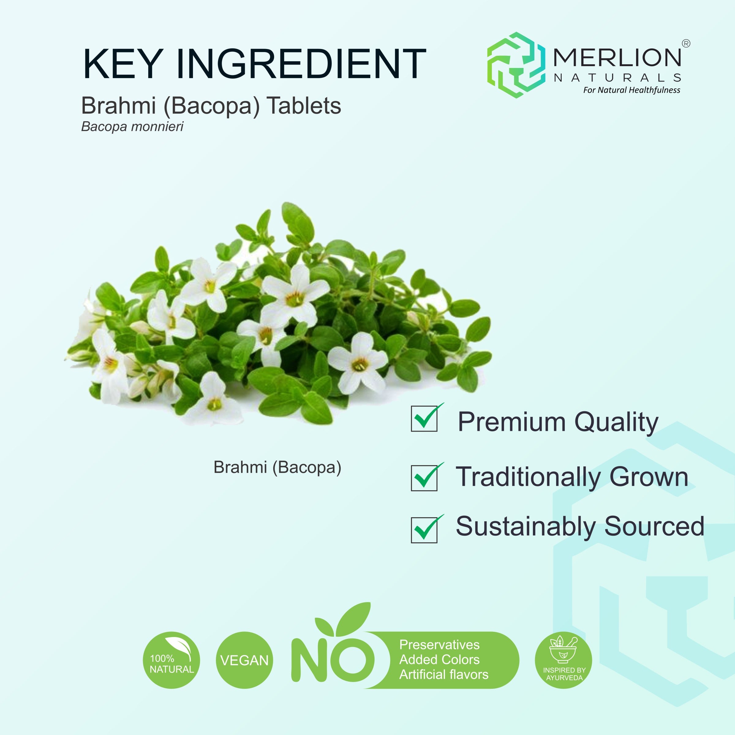 Brahmi ( Bacopa ) Extract Tablets | Bacopa monnieri | 500mg