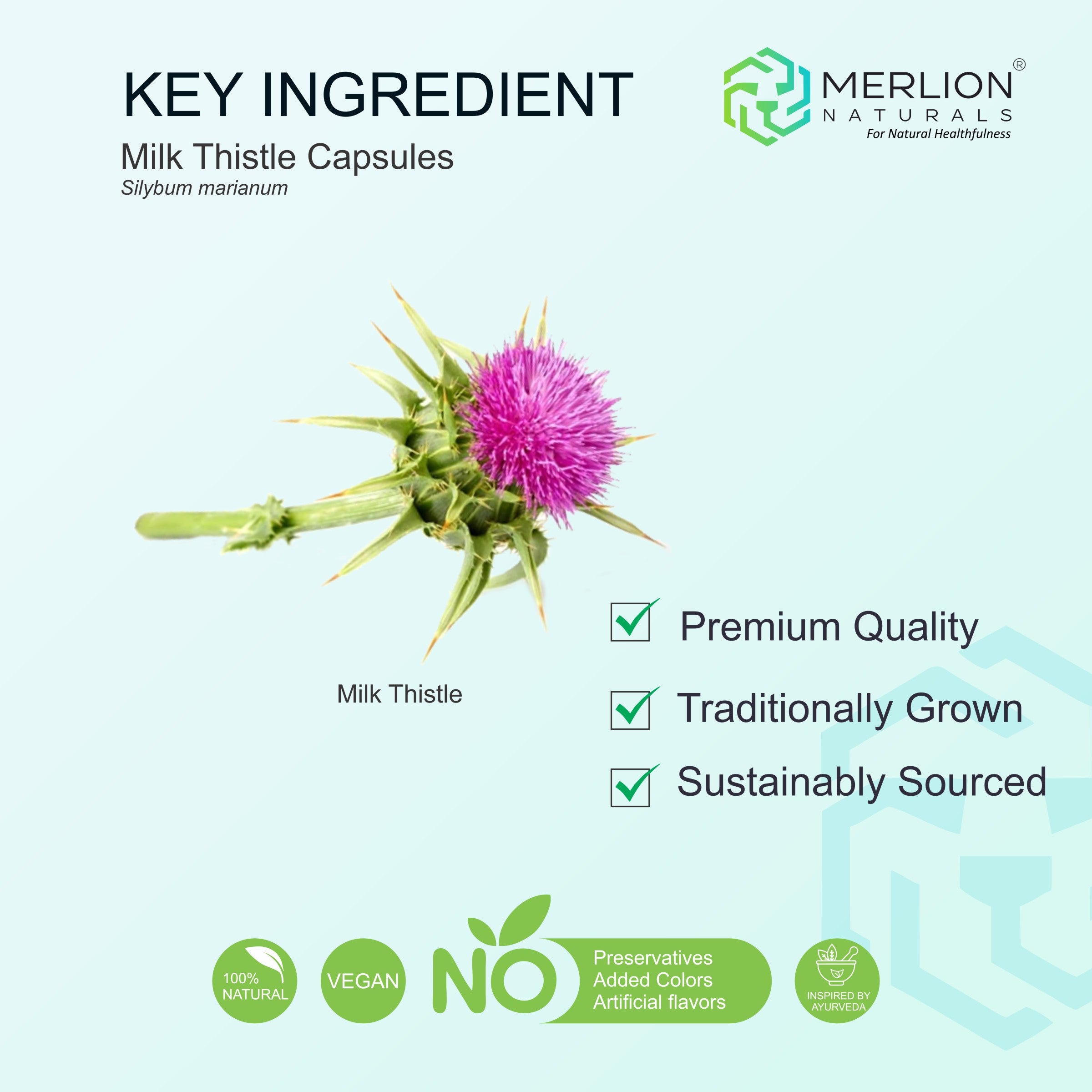 Milk Thistle Extract Capsules | Silybum marianum | 150mg (120 Capsules)
