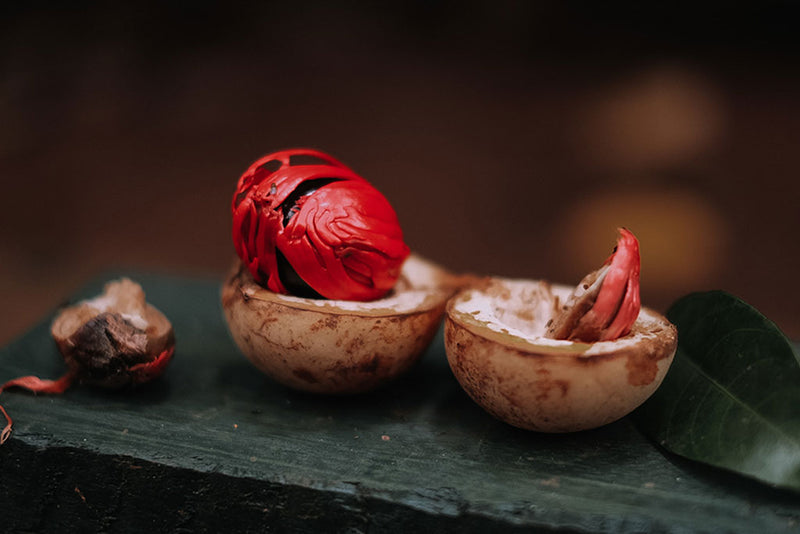 What is Difference between Javitri and Jaiphal ( Mace vs Nutmeg ) ?