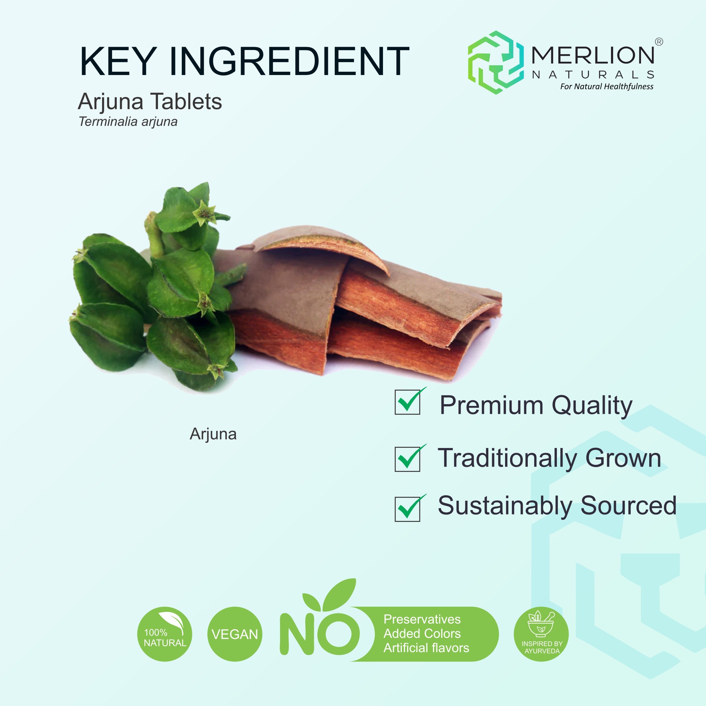 Arjuna Extract Tablets | Terminalia Arjuna | 500mg