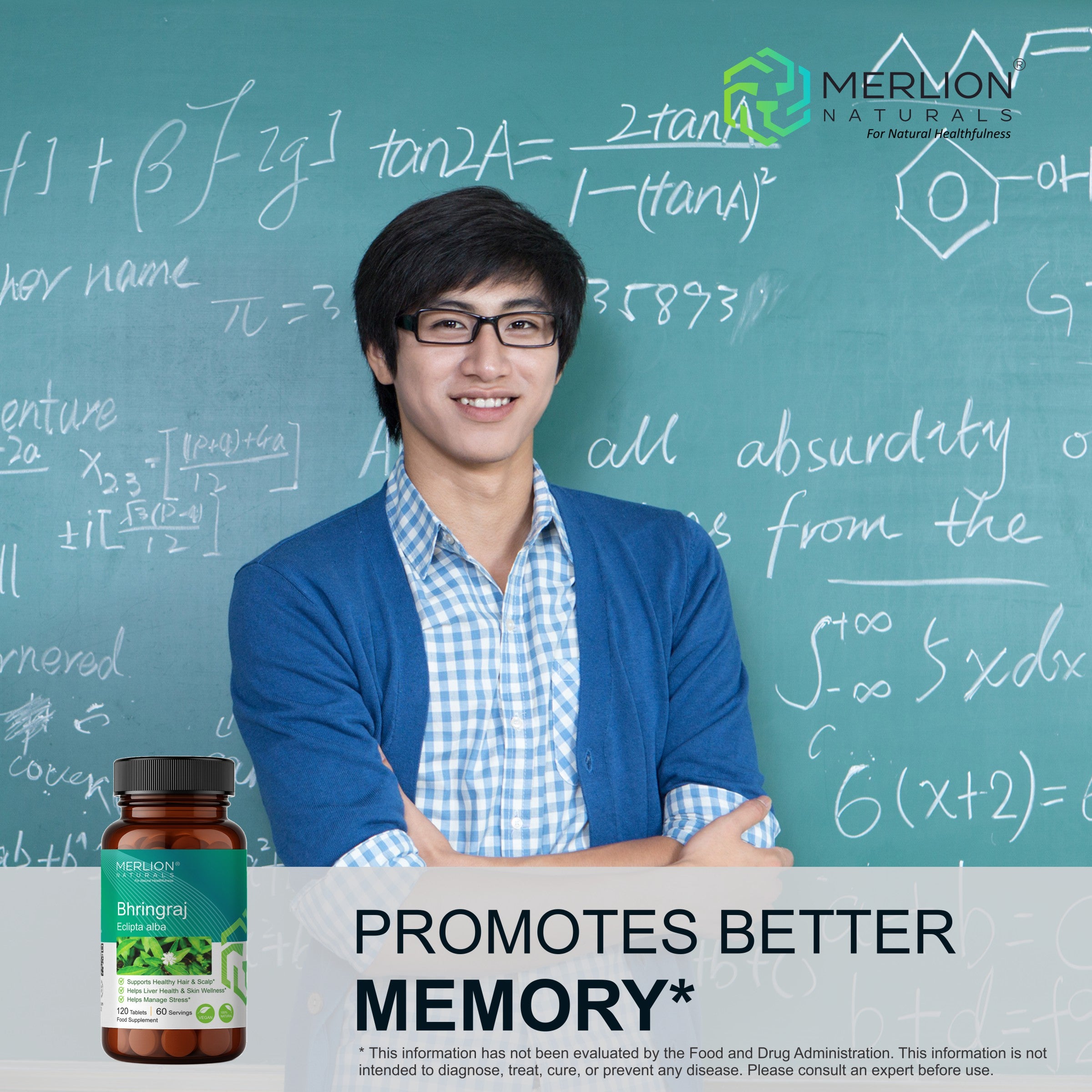Bhringraj Extract Tablets | Eclipta alba | 500mg