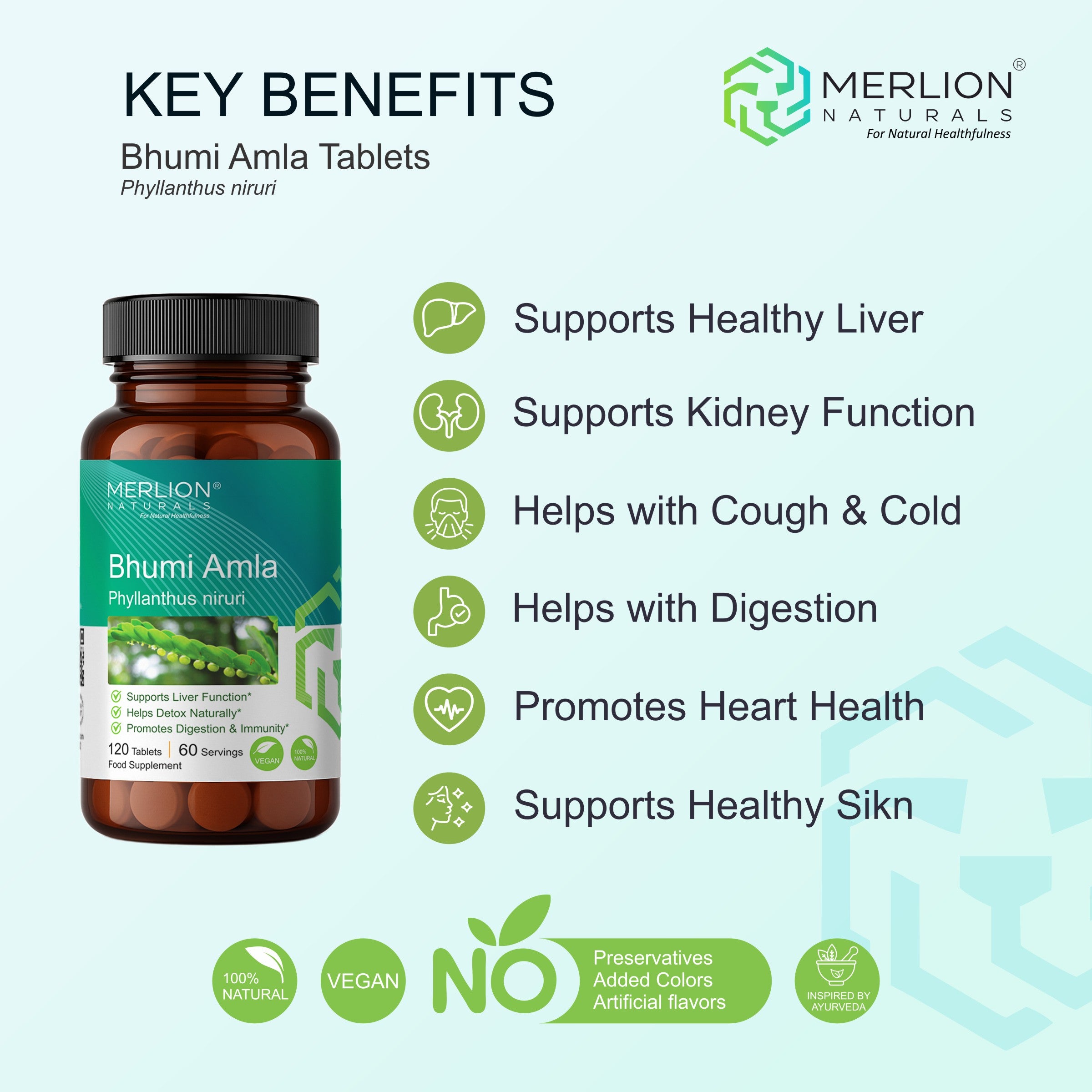 Bhumi Amla Extract Tablets | Phyllanthus niruri | 500mg