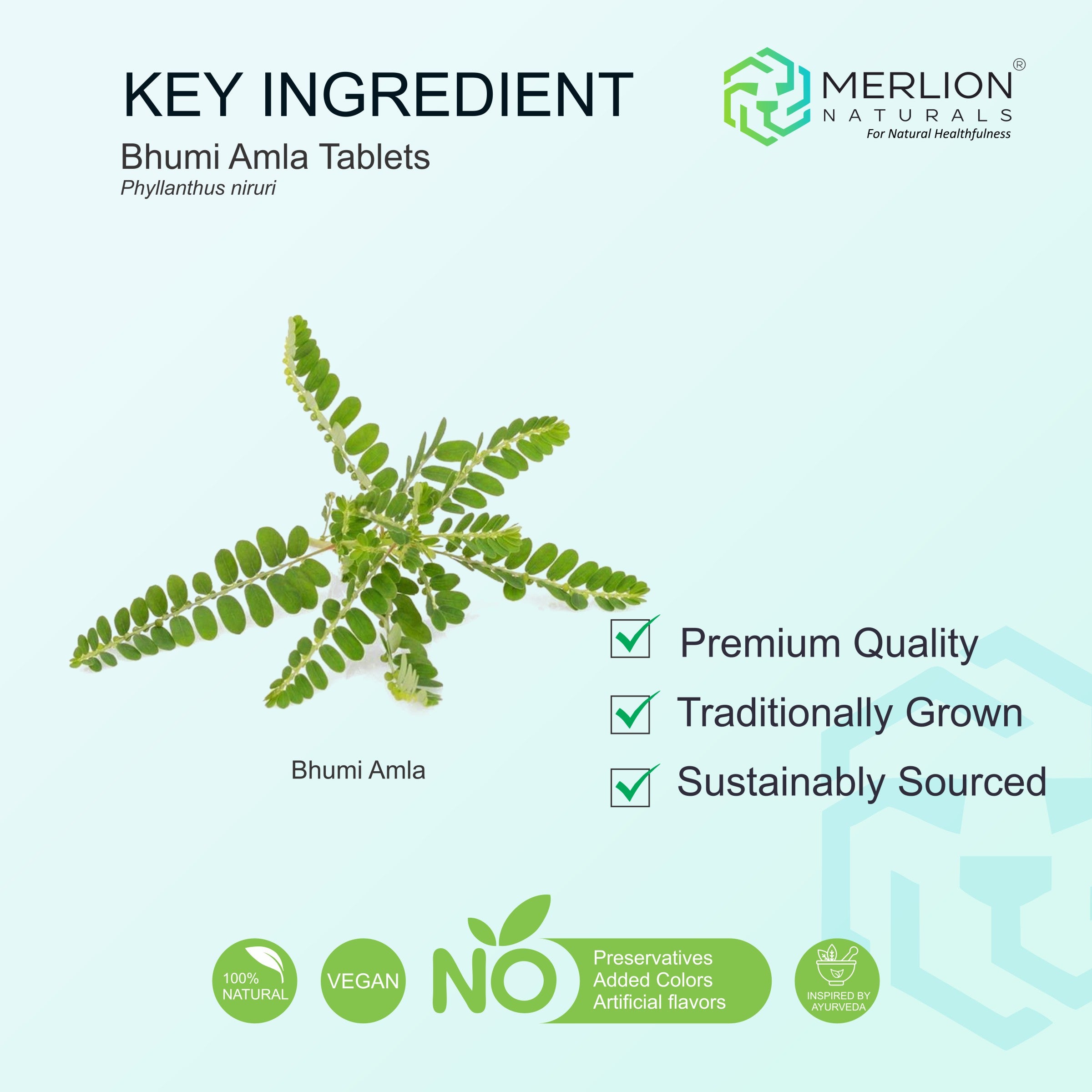 Bhumi Amla Extract Tablets | Phyllanthus niruri | 500mg