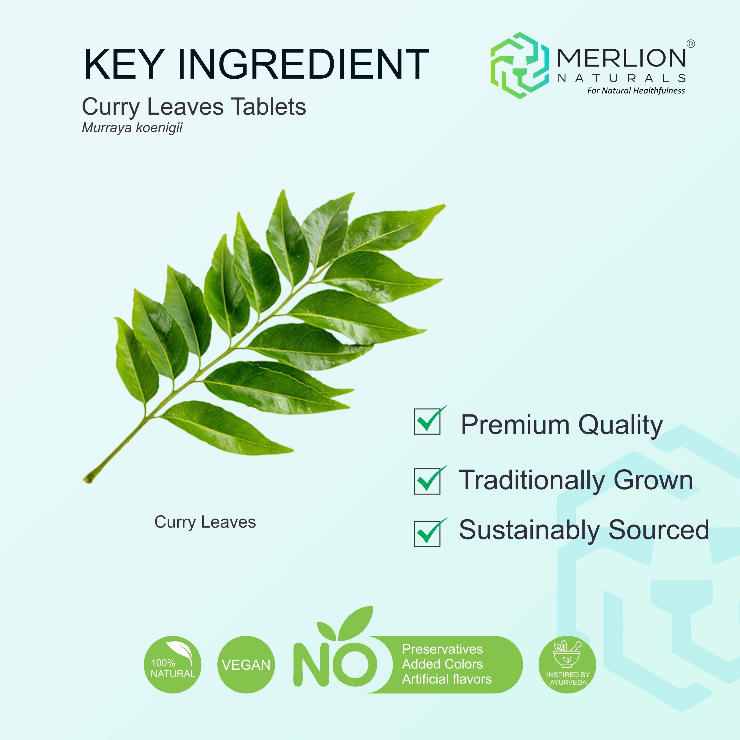 Curry Leaves Extract Tablets | Murraya koenigii | 500mg
