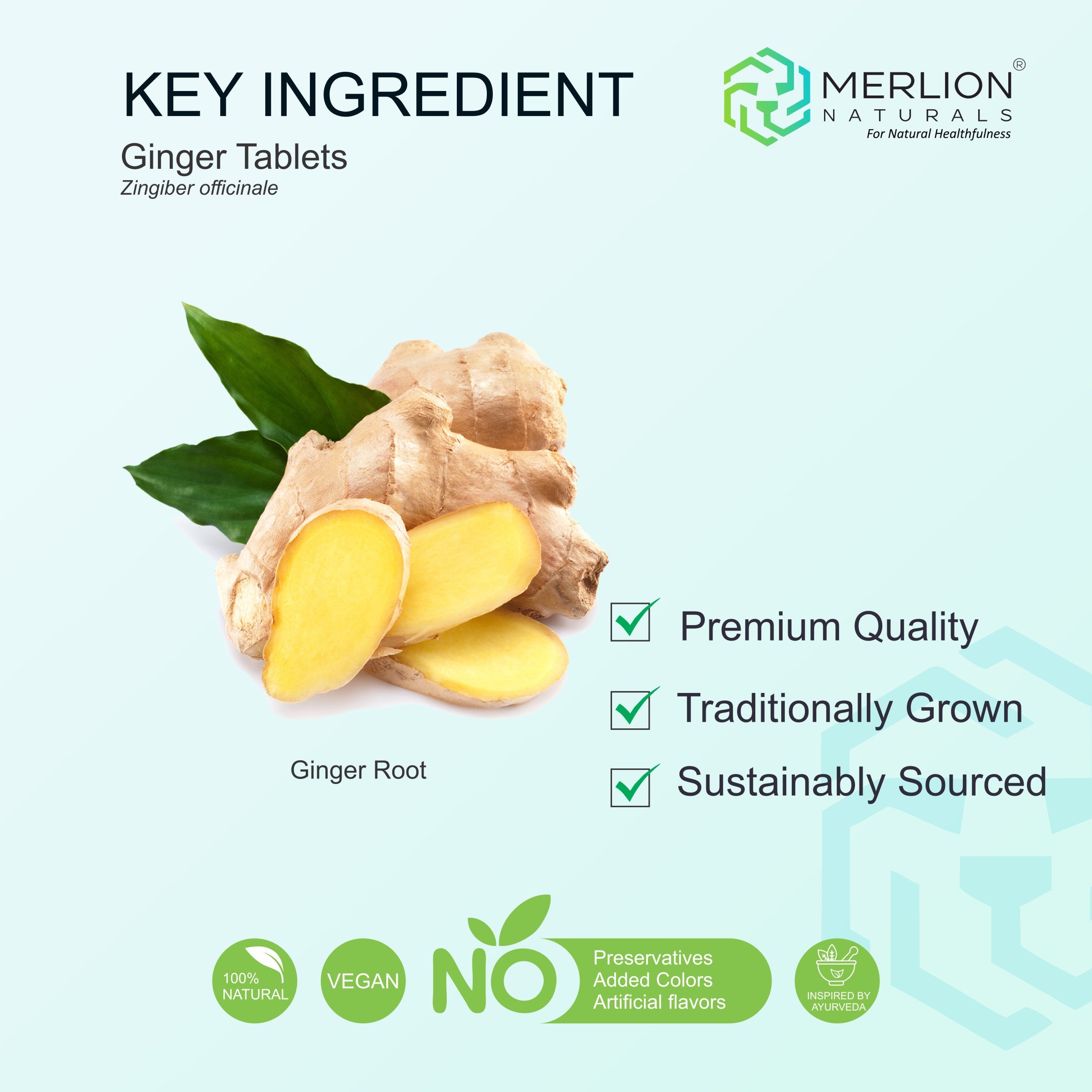 Ginger Extract Tablets | Zingiber officinale | 500mg