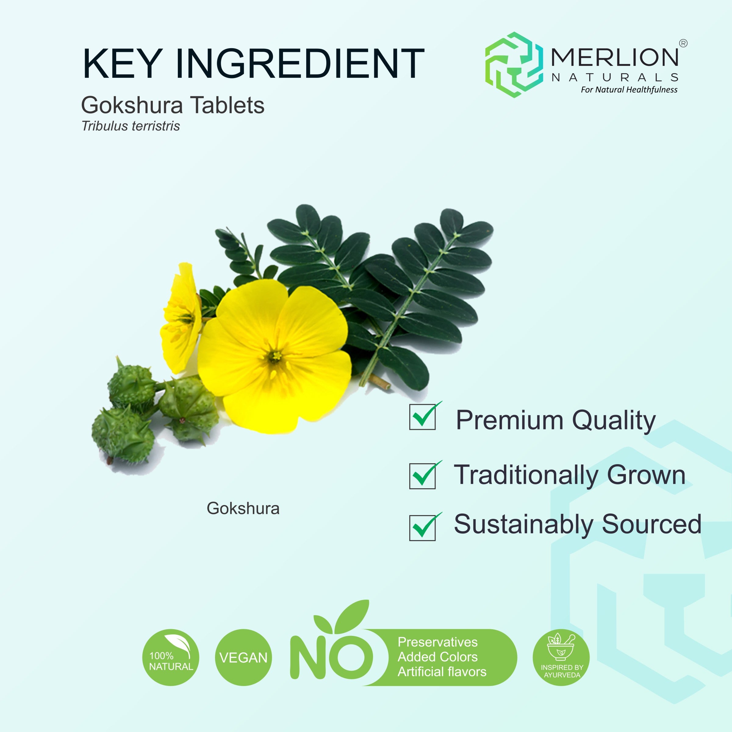 Gokshura Extract Tablets | Tribulus terrestris |  500mg