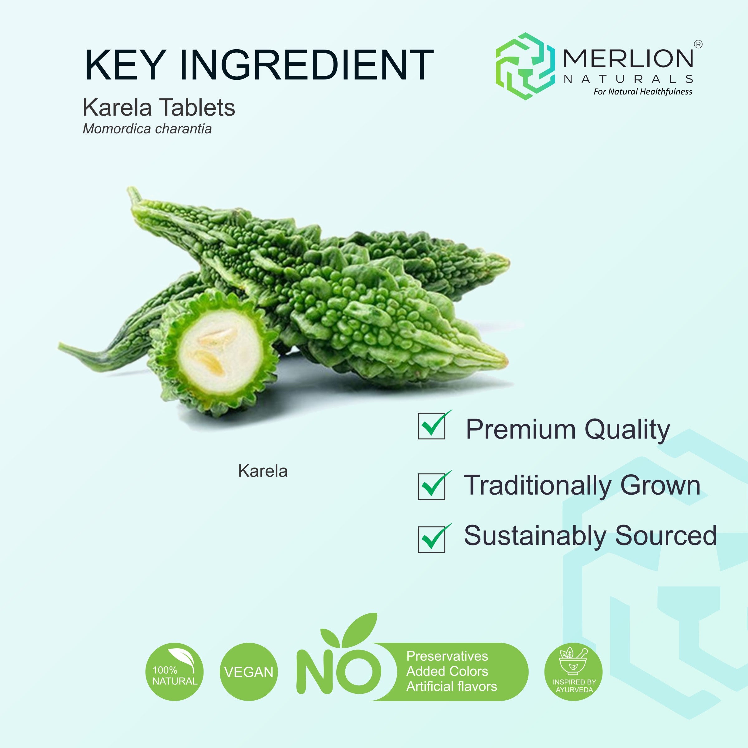 Karela Extract Tablets | Bitter Melon | 500mg