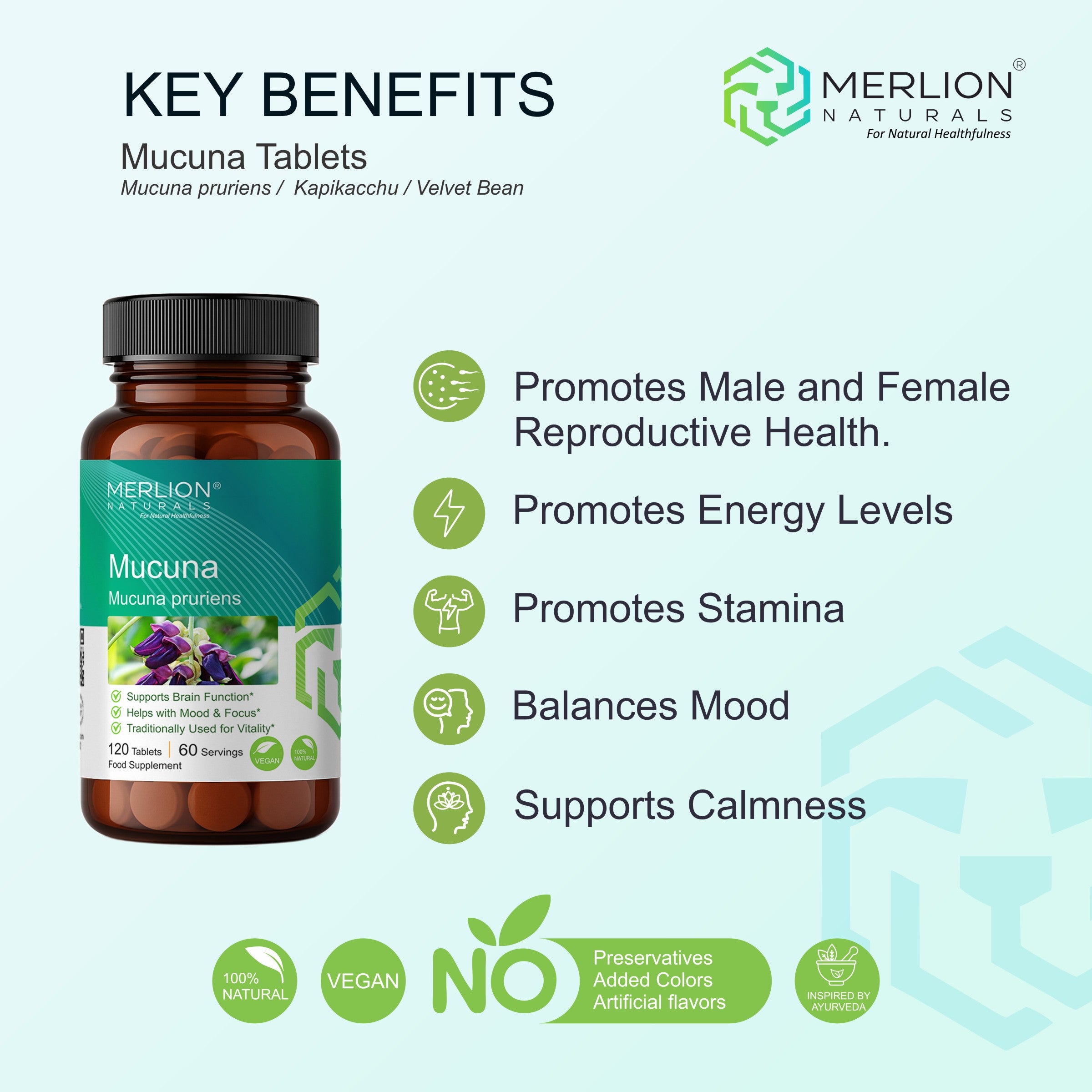 Mucuna Extract Tablets | Kapikachu / Mucuna pruriens | 500mg