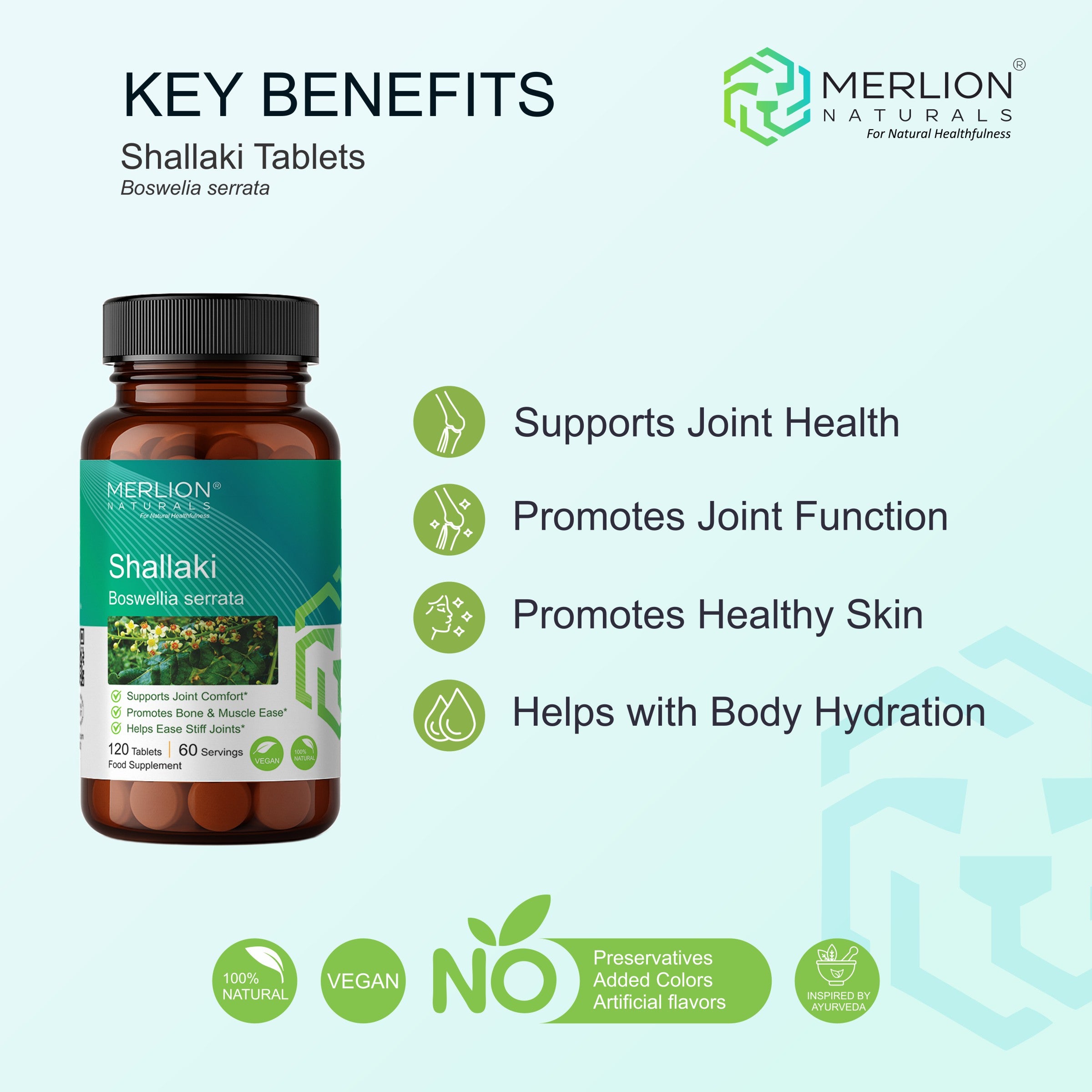 Shallaki Extract Tablets | Boswellia Serrata | 500mg