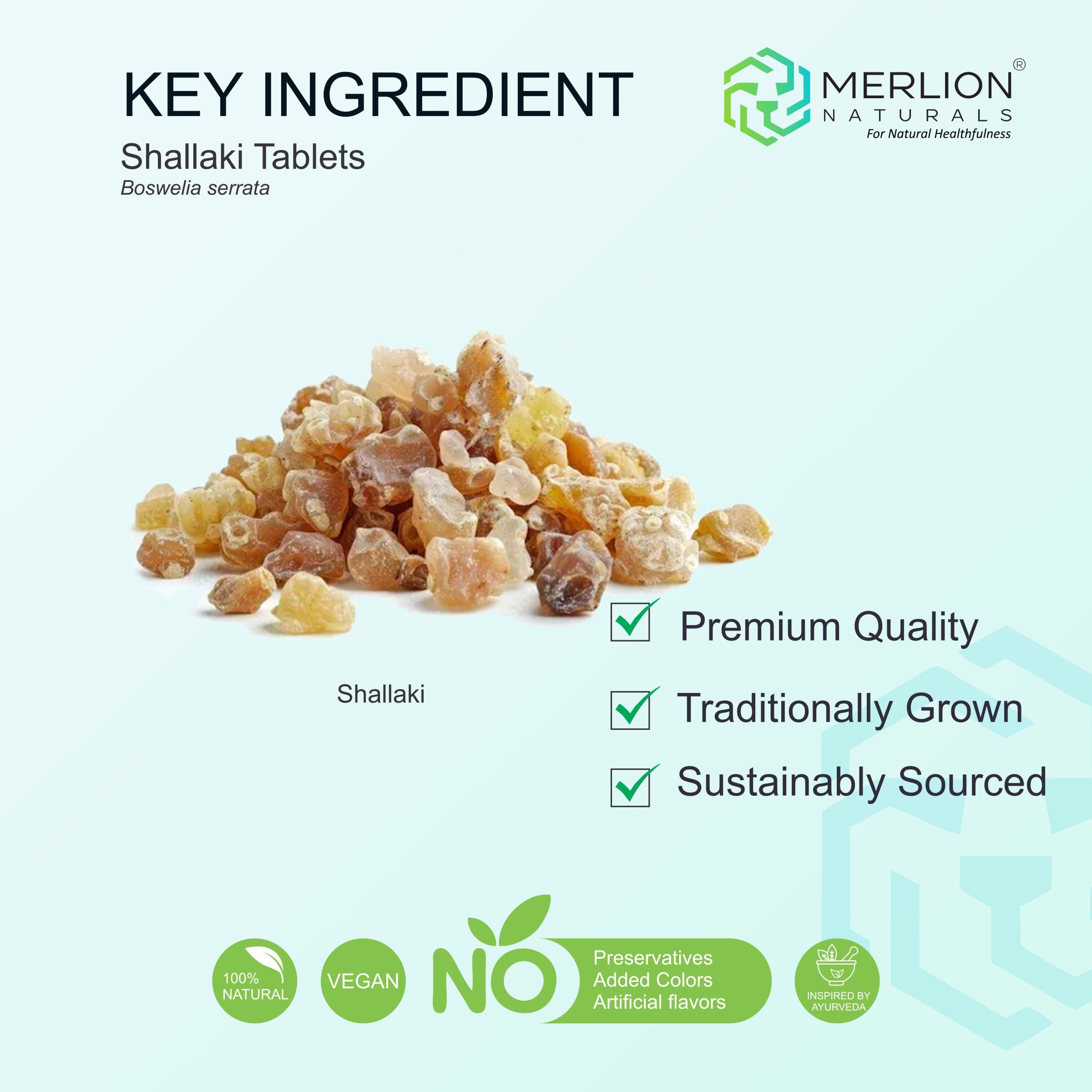 Shallaki Extract Tablets | Boswellia Serrata | 500mg