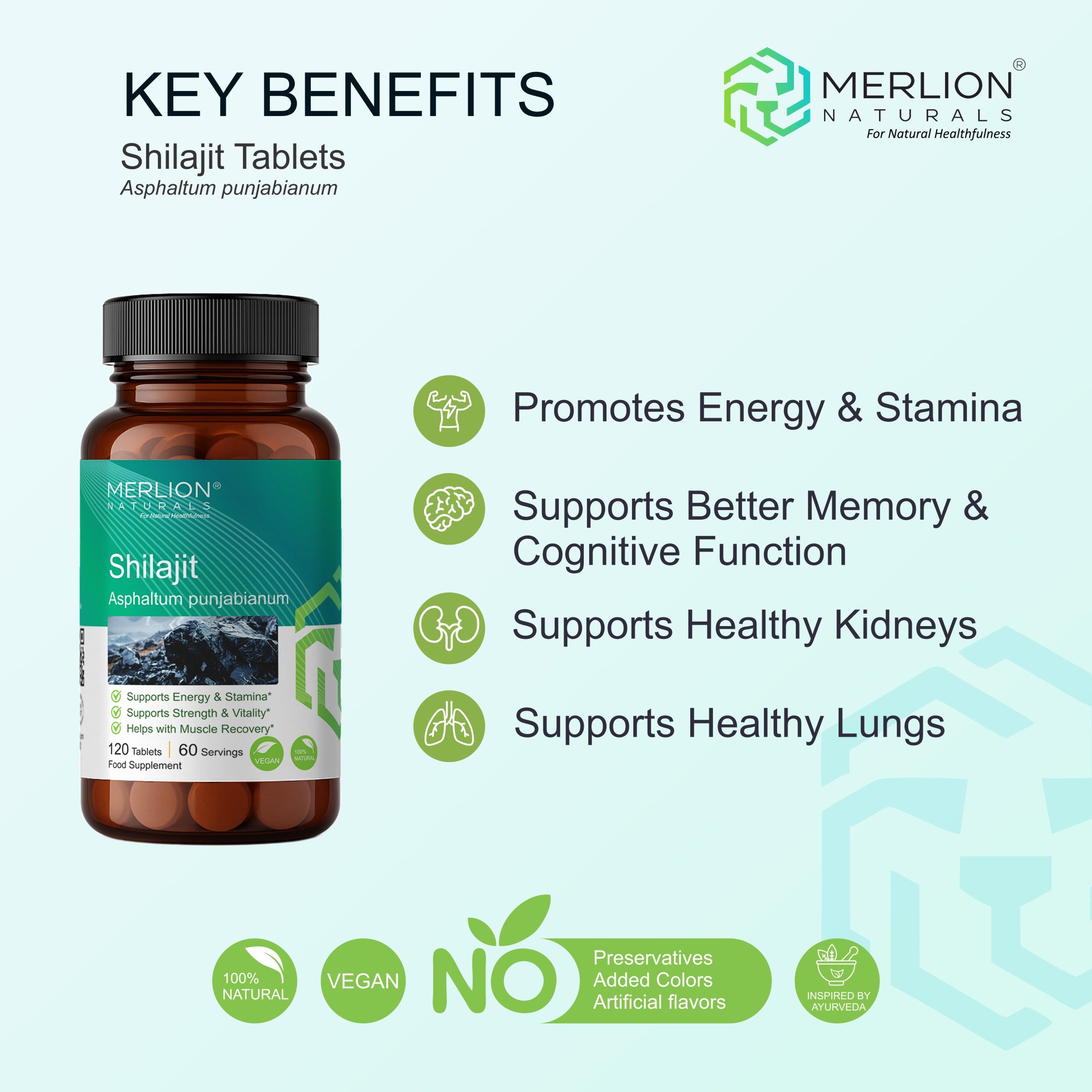 Shilajit Extract Tablets | Asphaltum punjabianum | 500mg