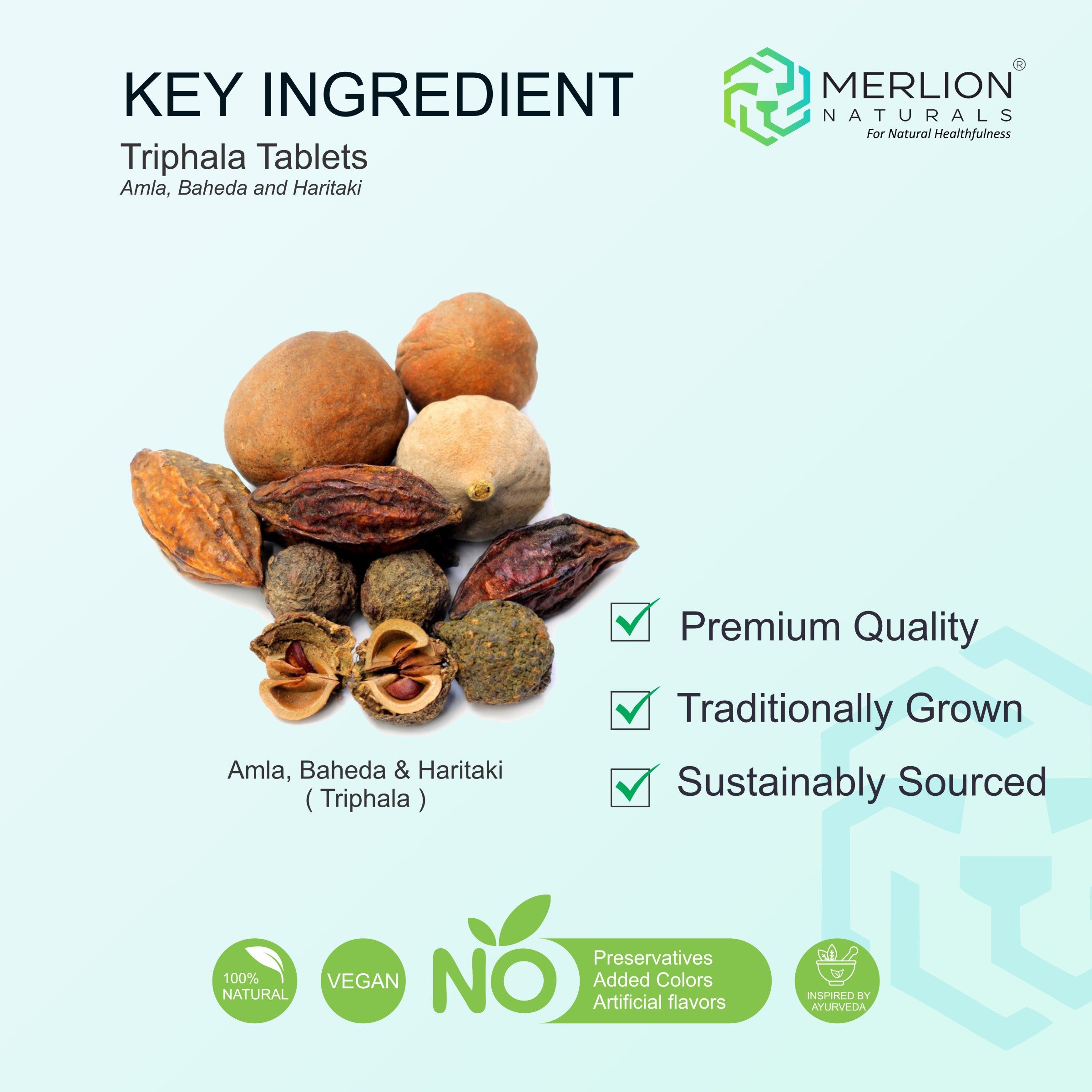 Triphala Extract Tablets | Amla, Haritaki & Baheda | 500mg