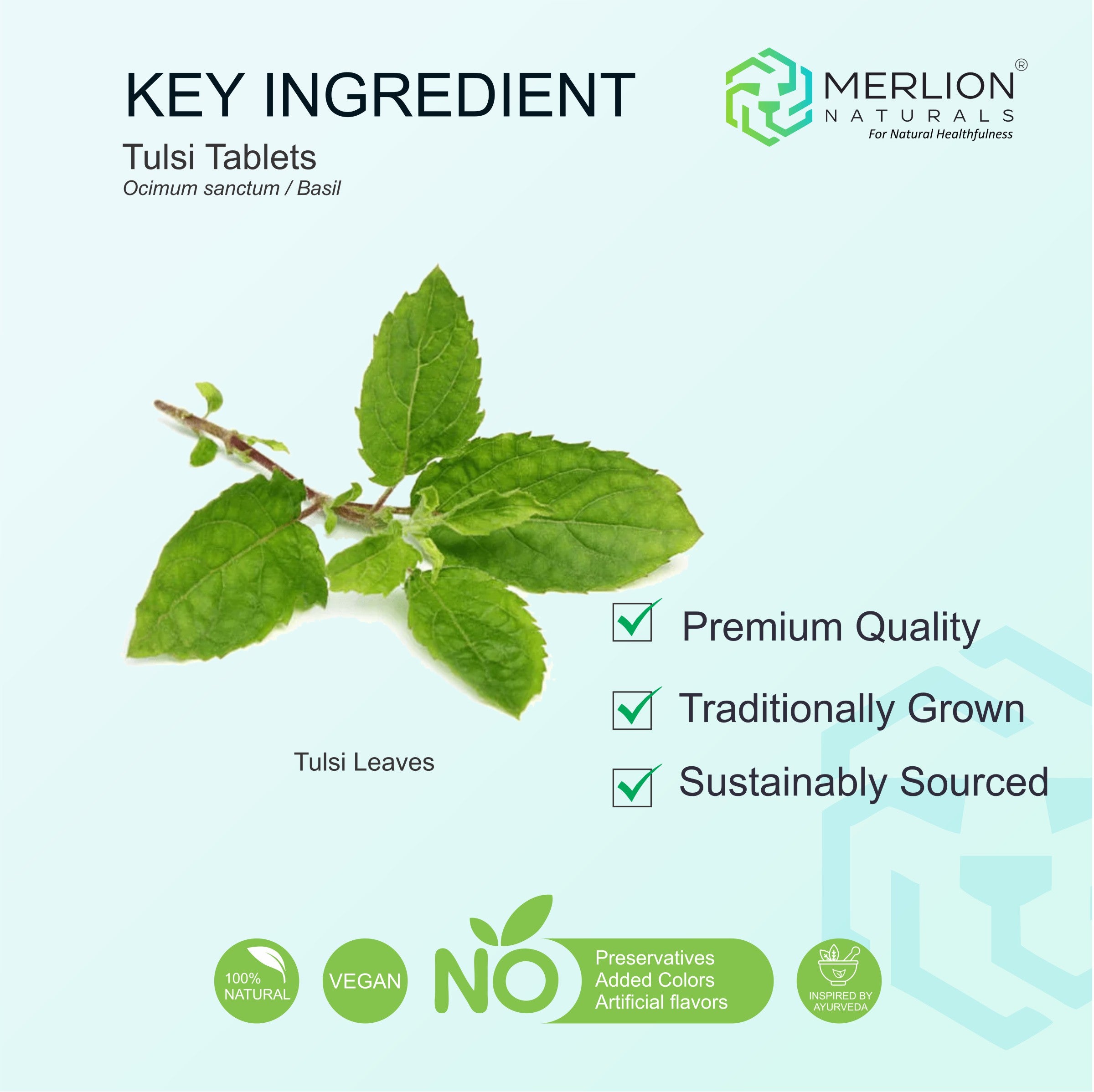 Tulsi Extract Tablets | Basil / Ocimum sanctum | 500mg