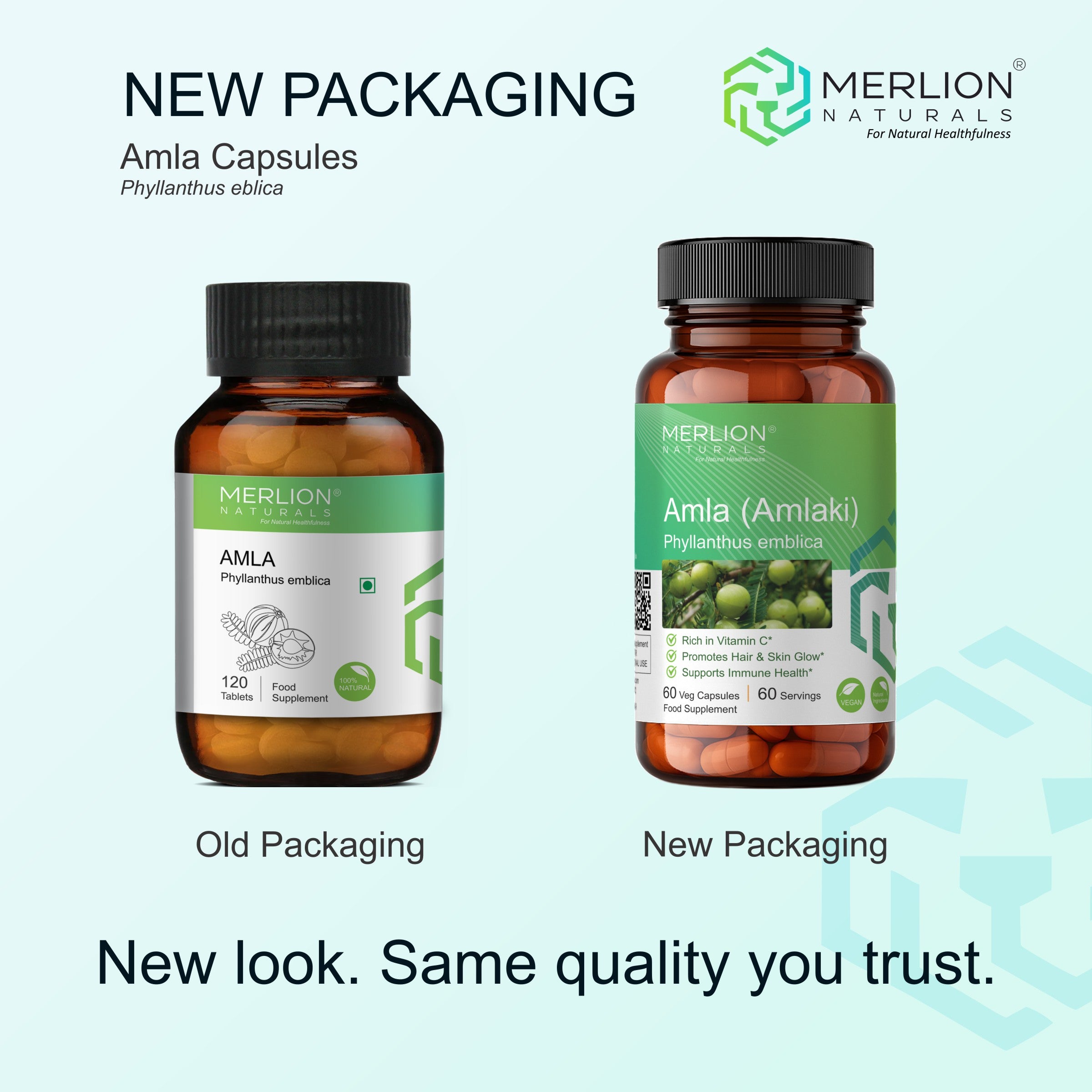 Amla Extract Capsules | Phyllanthus emblica / Indian gooseberry | 600mg