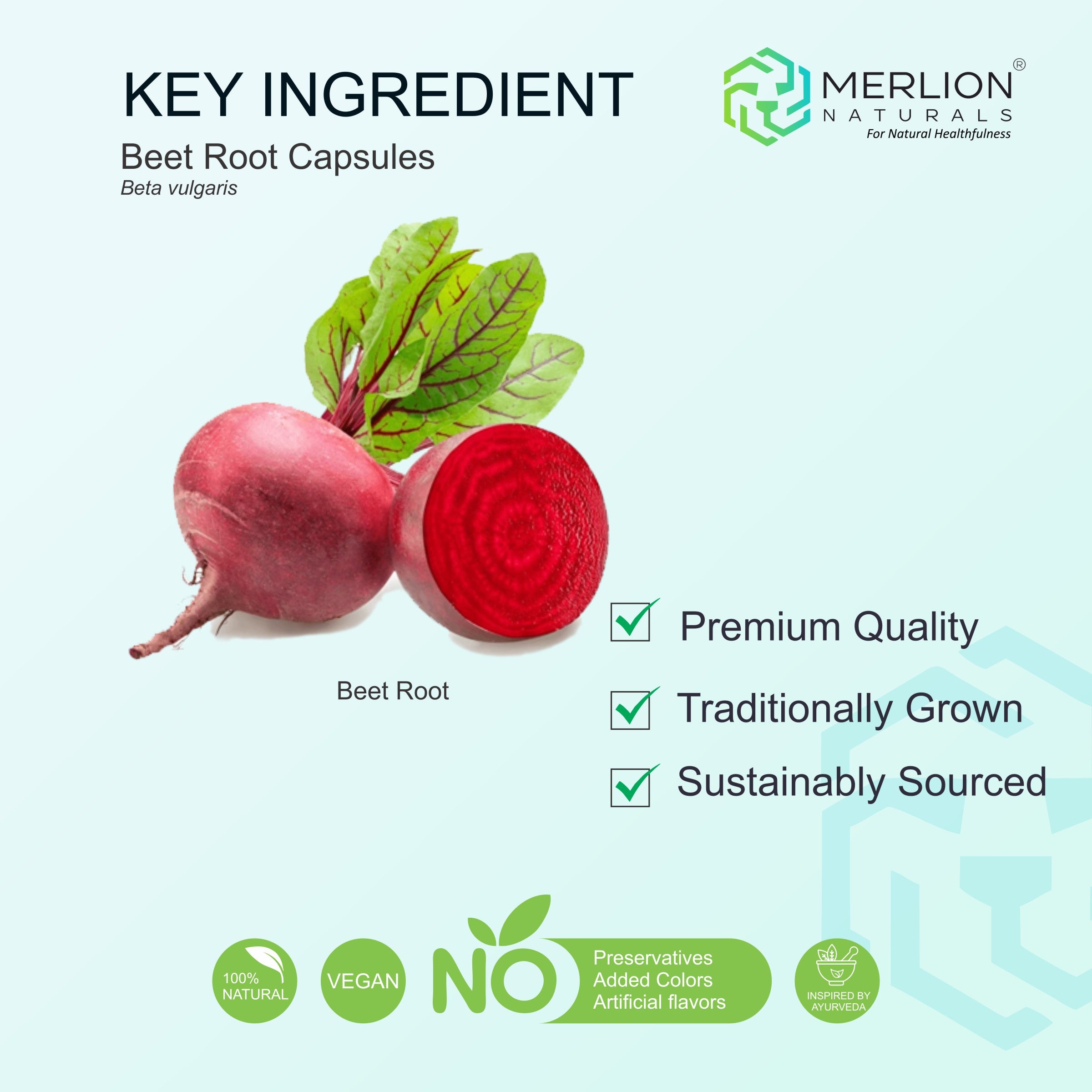 Beet Root Extract Capsules | Beta vulgaris | 650mg