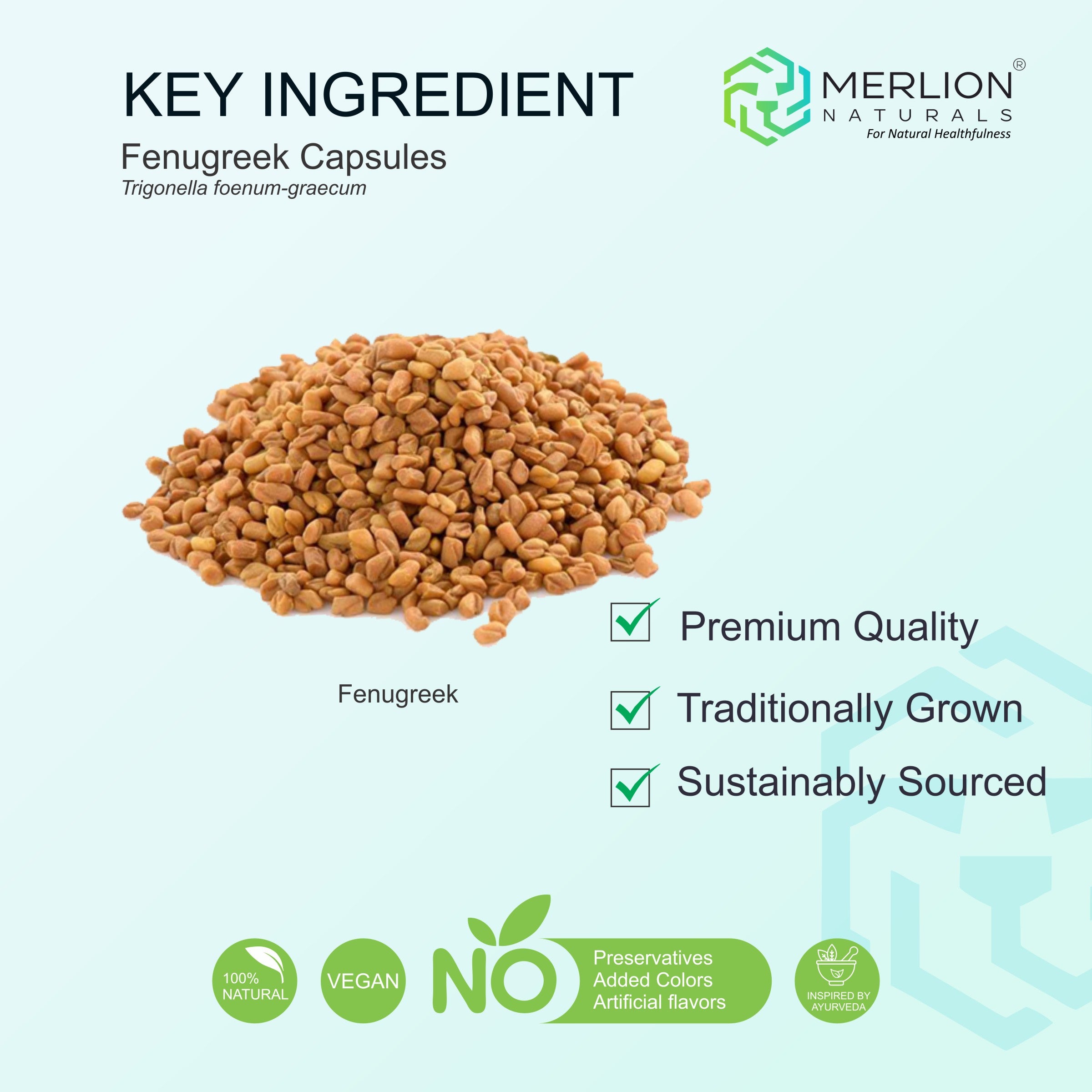 Fenugreek Capsules | Methi / Trigonella foenum-graecum | 700mg