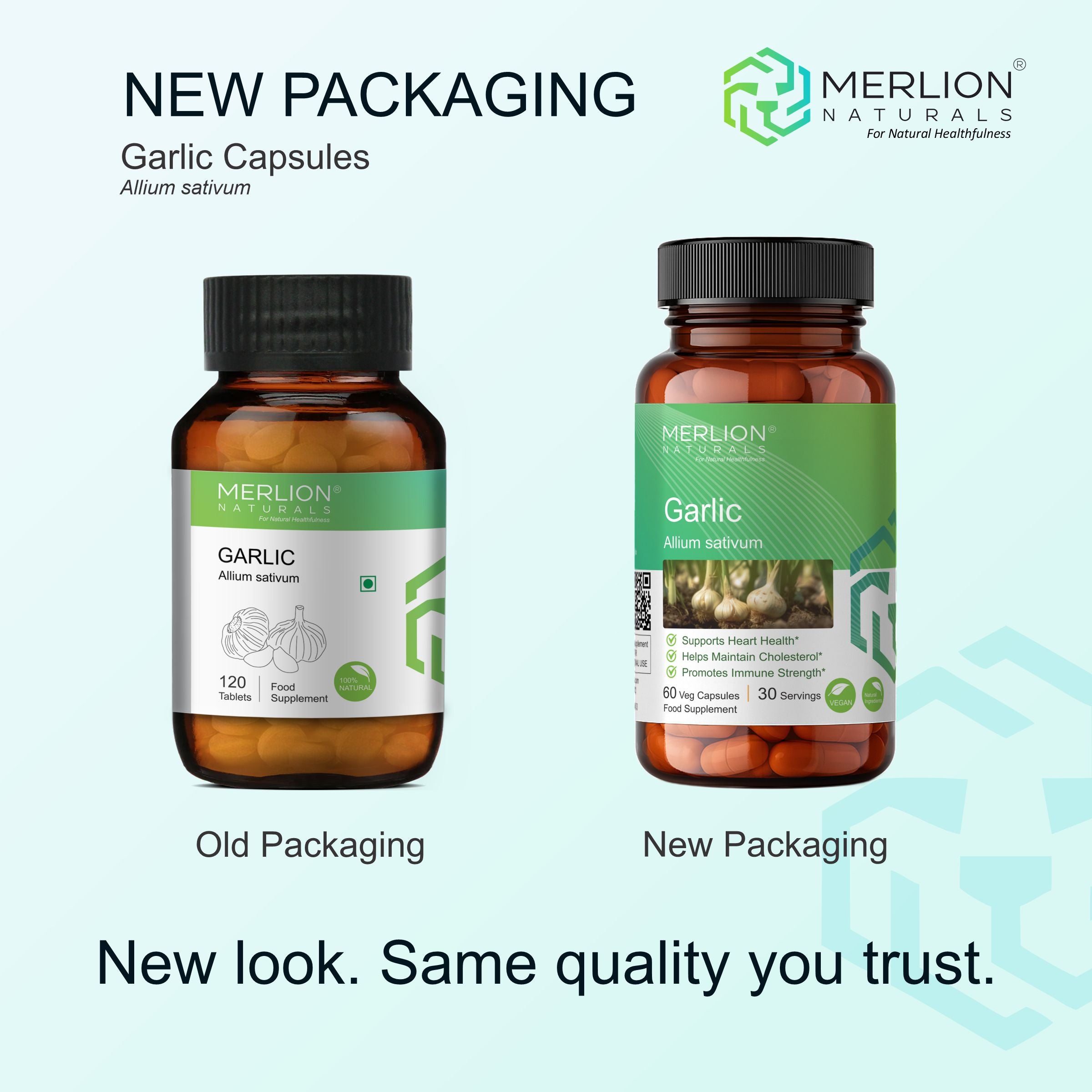 Garlic Extract Capsules | Allium sativum | 500mg