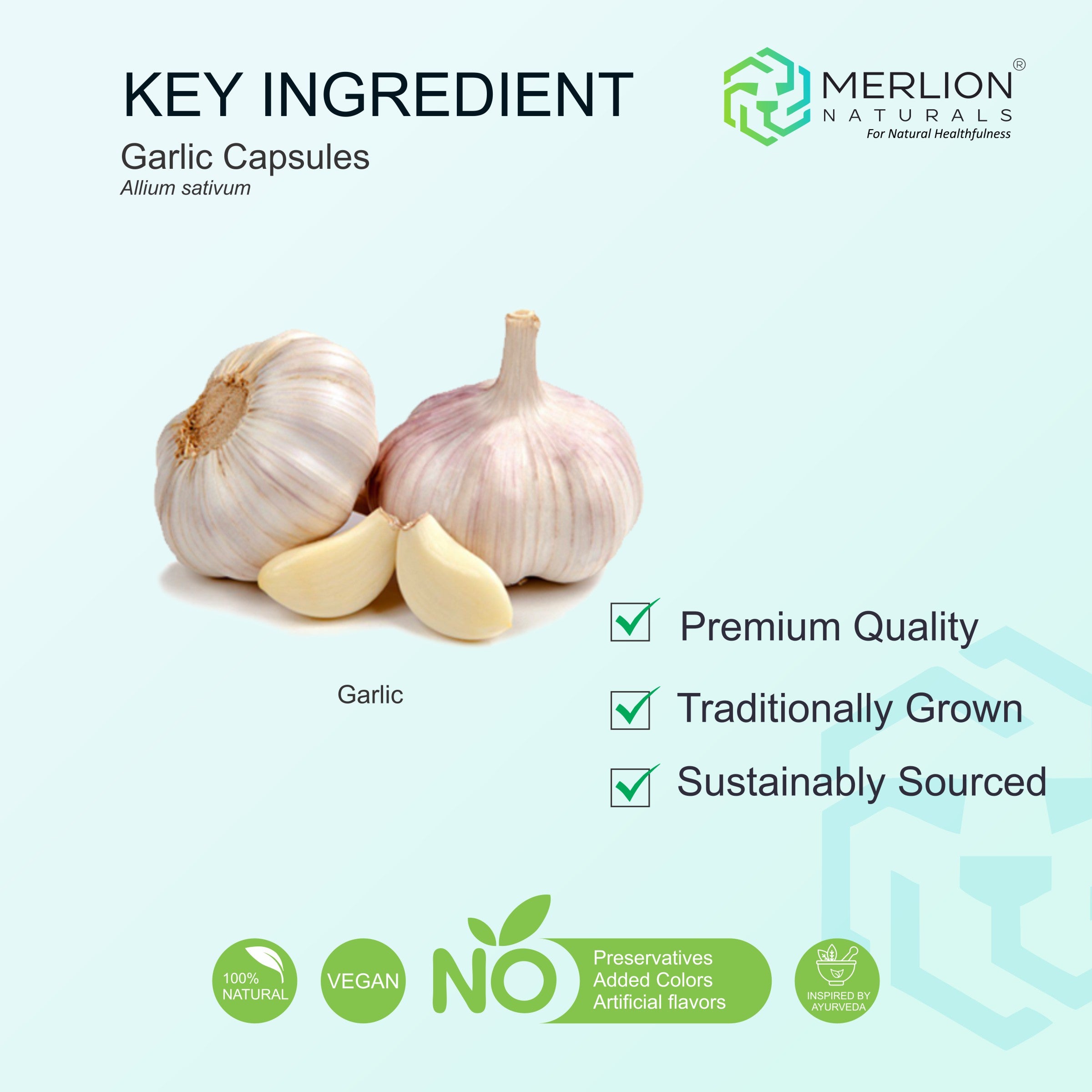 Garlic Extract Capsules | Allium sativum | 500mg