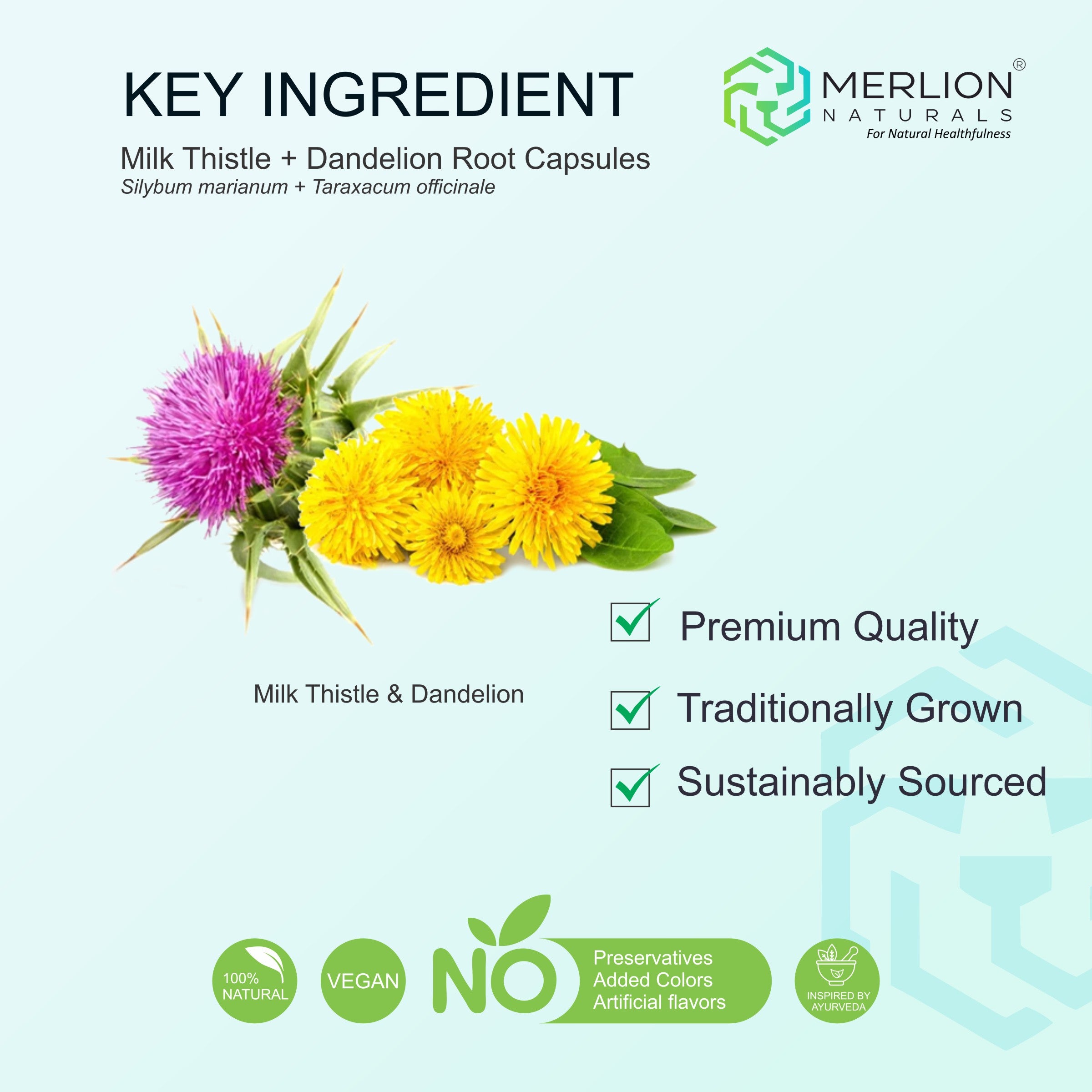 Milk Thistle and Dandelion Root Extract Capsules | Silybum marianum | 1050mg (120 Capsules)